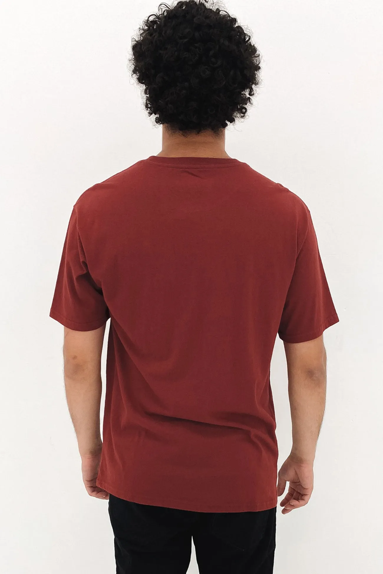 Alpha Line Short Sleeve Relaxed Tee Island Berry Garment Dye