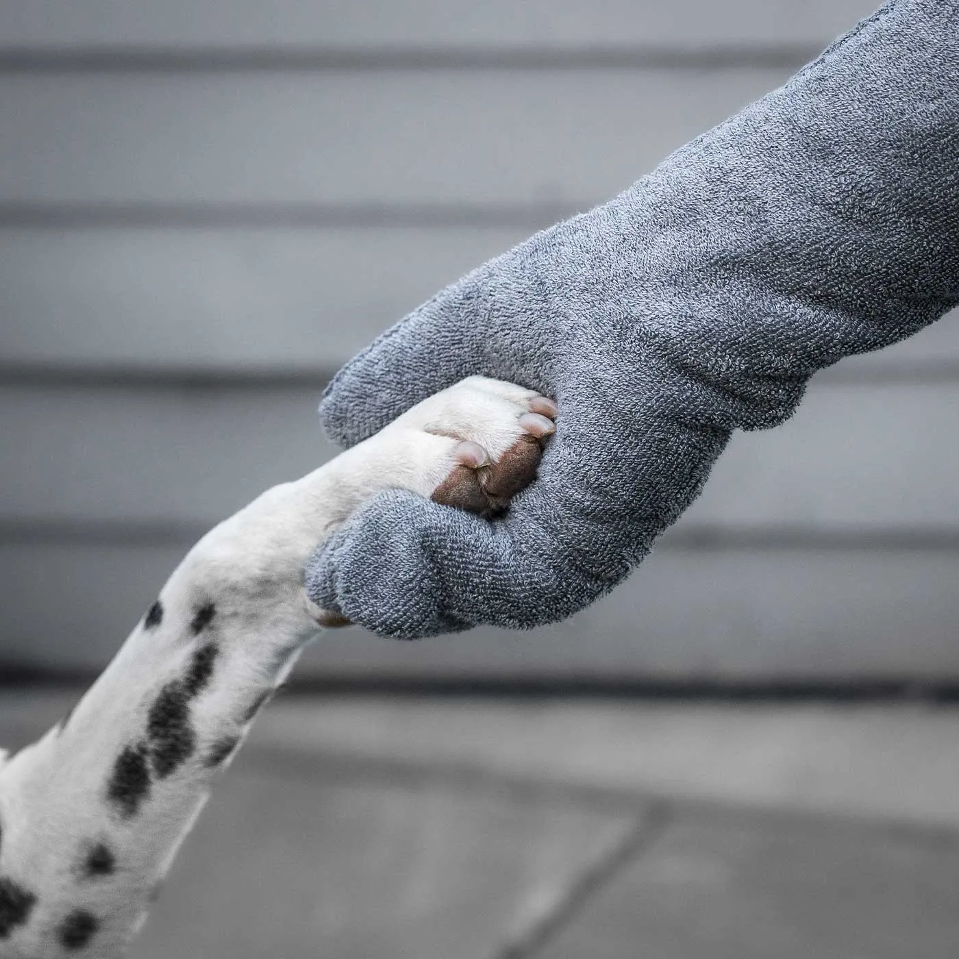 Bamboo Drying Mitts in Gun Metal by Lords & Labradors