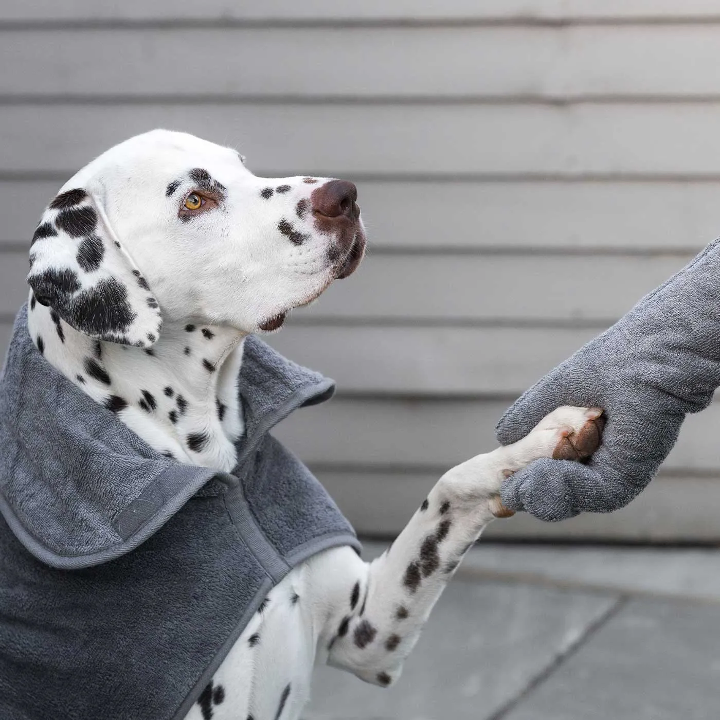 Bamboo Drying Mitts in Gun Metal by Lords & Labradors