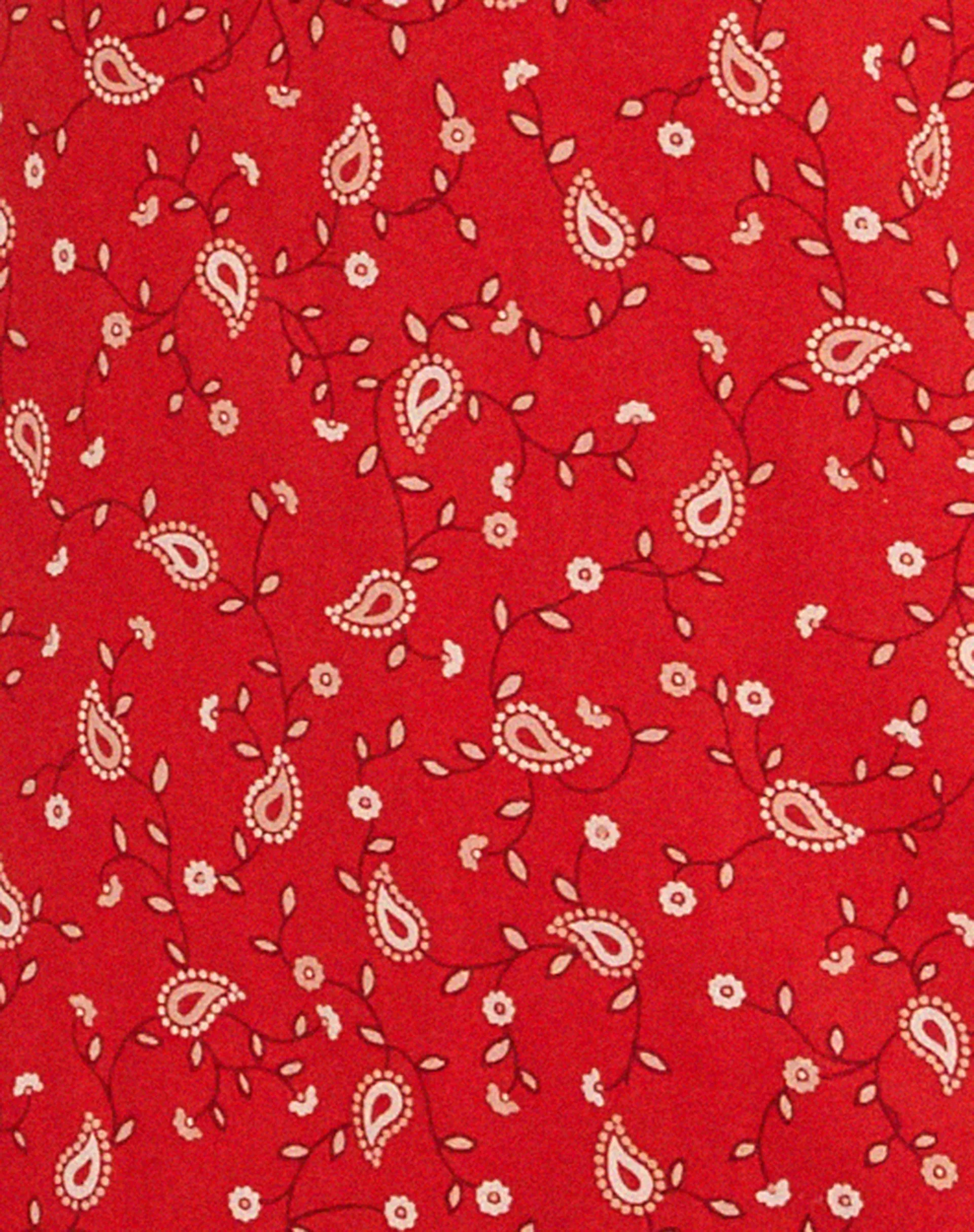 Eluned Day Dress in Paisley Fun Red