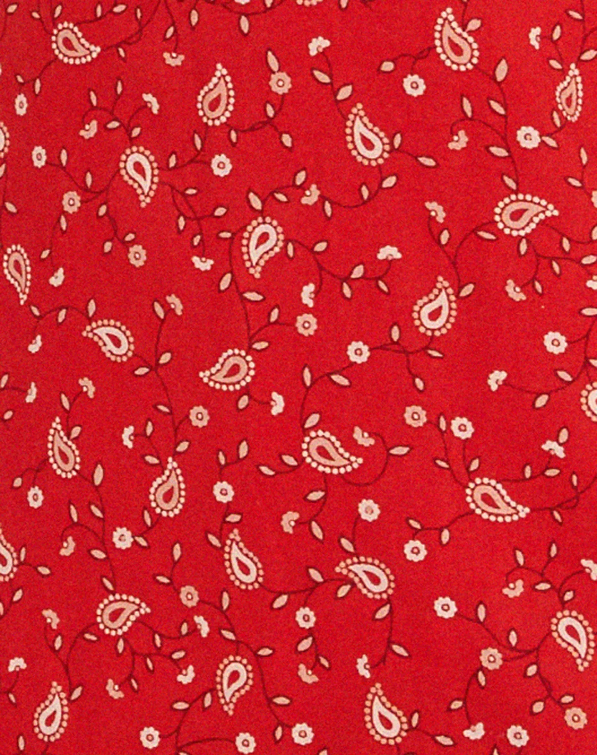 Eluned Day Dress in Paisley Fun Red