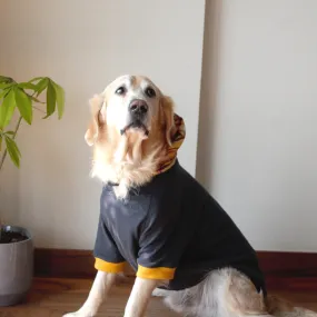 PoochMate Charcoal & Mustard Tartan Dog Sweatshirt